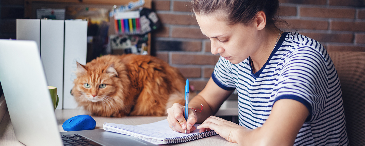 Setting Up a Functional Work Space at Home for College Students