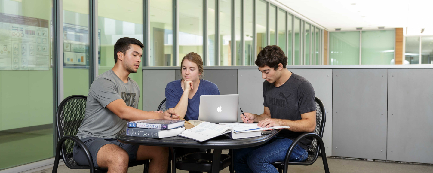 Students studying together