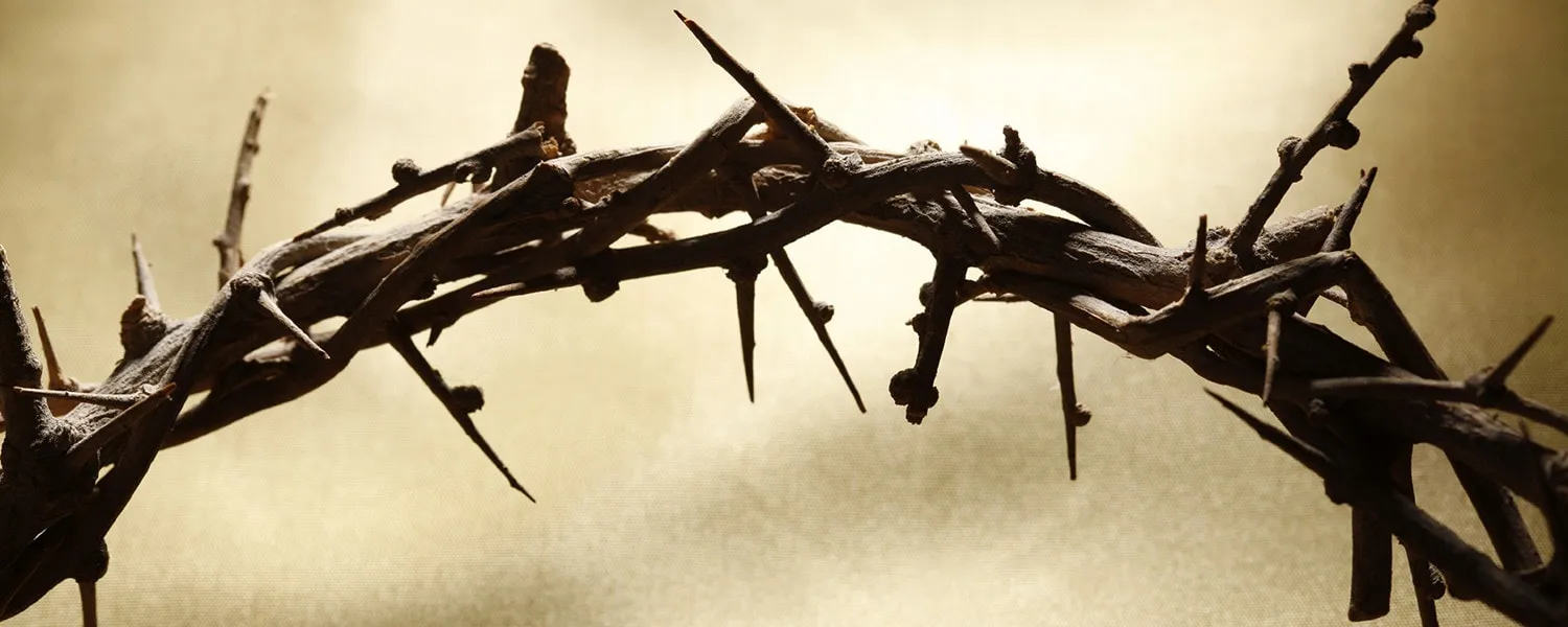Crown of thorns silhouetted against a warm, softly lit background.