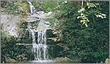 Image of small waterfall