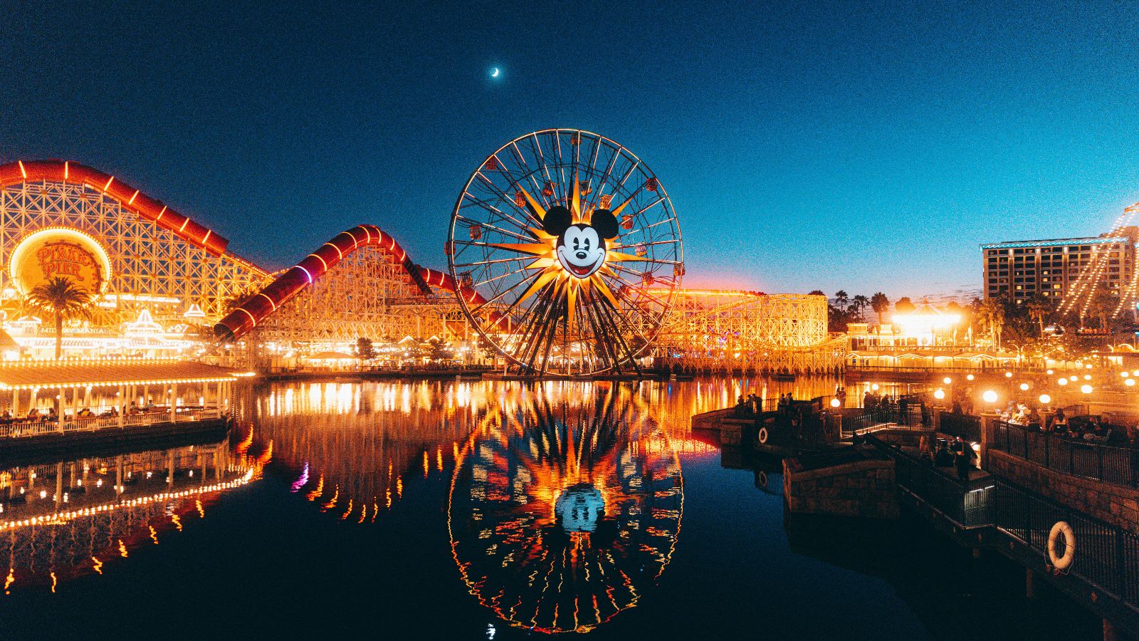 disneyland rollercoaster and Ferris Wheel at night