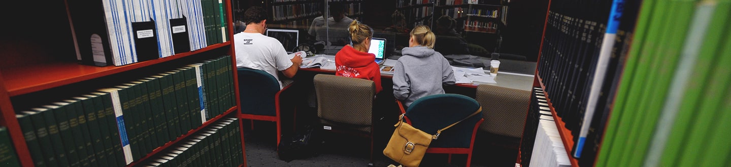 students studing at the library