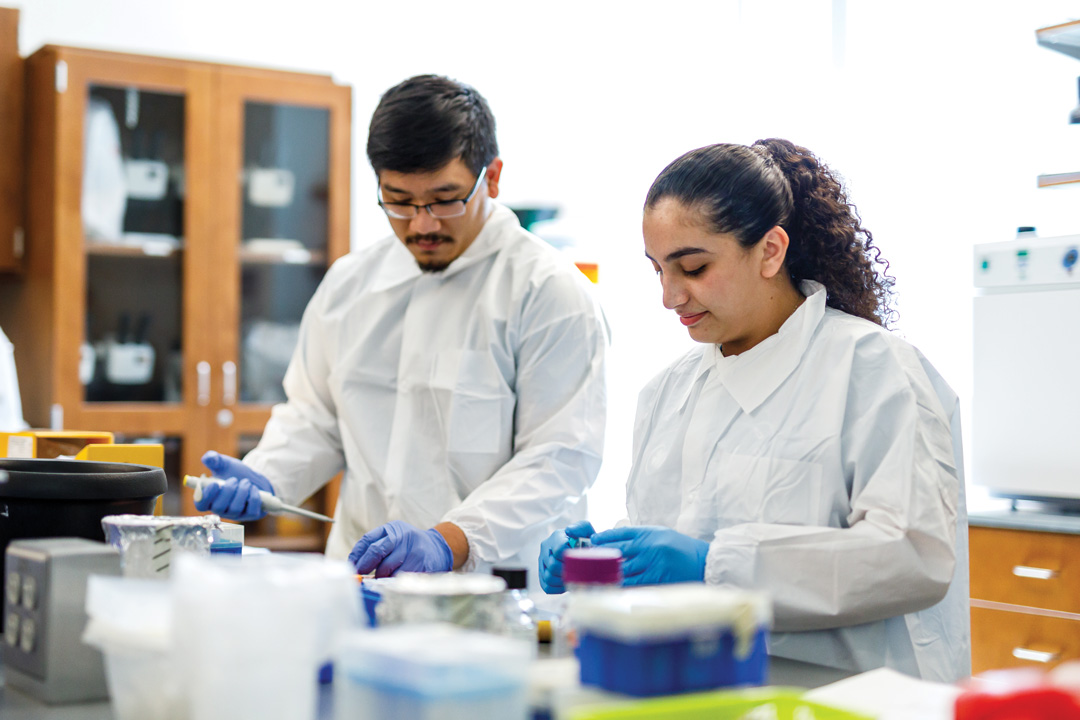 Students in laboratory